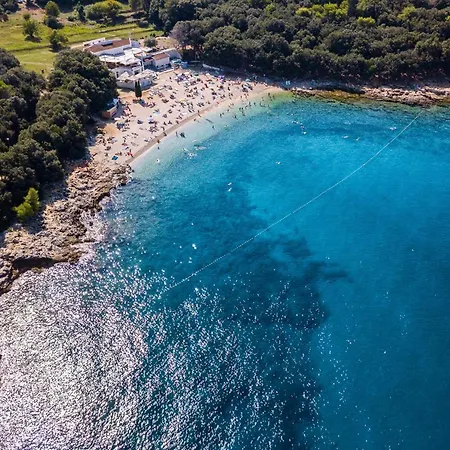 Modern Nerina With Private Pool Near Pula